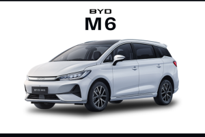 BYD M6