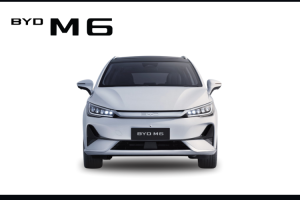BYD M6
